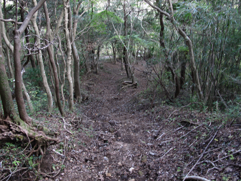 20181025hike (298)